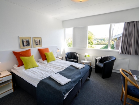 Erhvervsovernatninger på Hotel Pejsegården